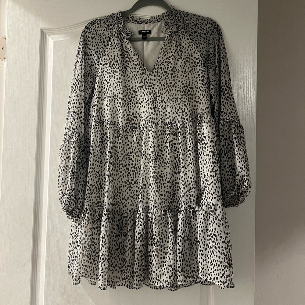 Express Long sleeve mini dress